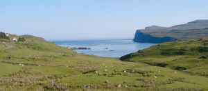Milovaig